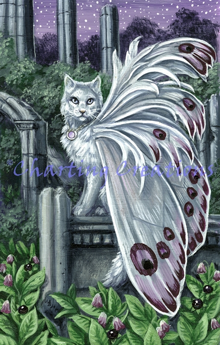 Belladonna